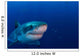 Great White Shark Guadalupe Wall Decal Design 1