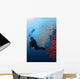 Divers Swimming Sea Fans Wall Decal