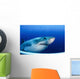 Great White Shark Guadalupe Wall Decal
