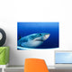 Great White Shark Guadalupe Wall Decal