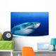 Great White Shark Guadalupe Wall Decal