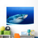 Great White Shark Guadalupe Wall Decal