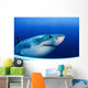 Great White Shark Guadalupe Wall Decal