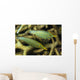 Pair Comet Fish Australia Wall Decal