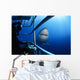 Female Great White and Wall Decal