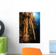 Soft Coral Reef Seascape Wall Decal Design 2