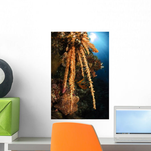 Soft Coral Reef Seascape Wall Decal Design 2