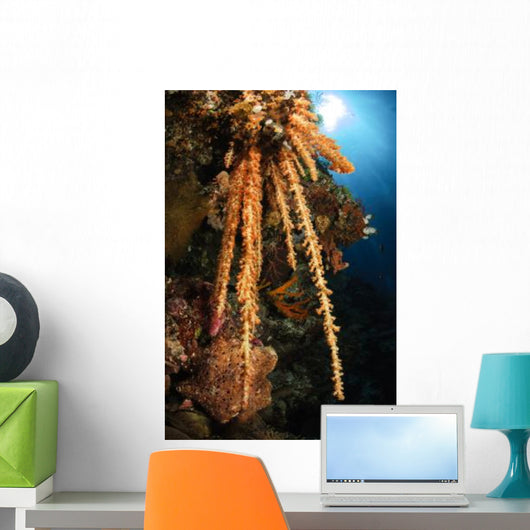Soft Coral Reef Seascape Wall Decal Design 2