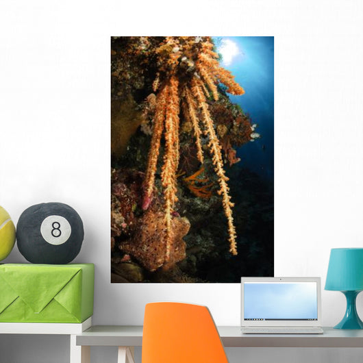 Soft Coral Reef Seascape Wall Decal Design 2