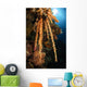 Soft Coral Reef Seascape Wall Decal Design 2