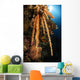 Soft Coral Reef Seascape Wall Decal Design 2