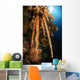 Soft Coral Reef Seascape Wall Decal Design 2