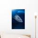 Potato Grouper Australia Wall Decal Design 1