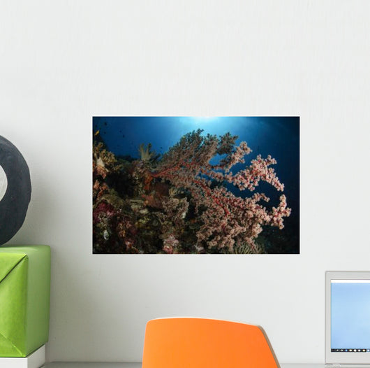 Soft Coral Reef Seascape Wall Decal Design 1