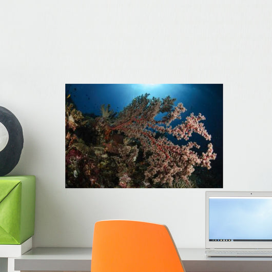 Soft Coral Reef Seascape Wall Decal Design 1