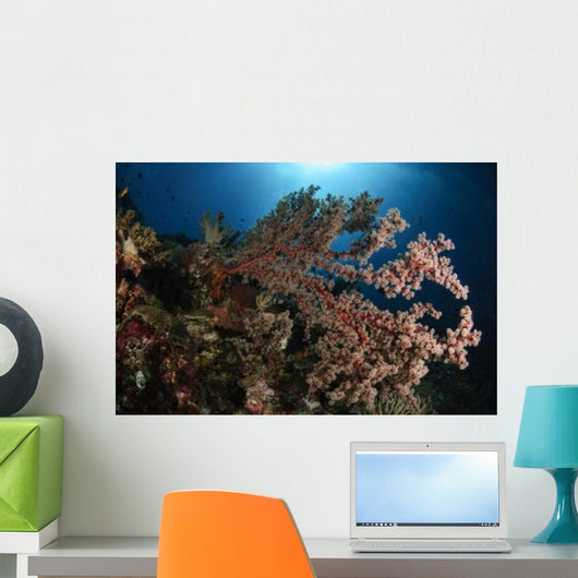 Soft Coral Reef Seascape Wall Decal Design 1