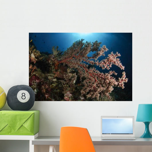 Soft Coral Reef Seascape Wall Decal Design 1