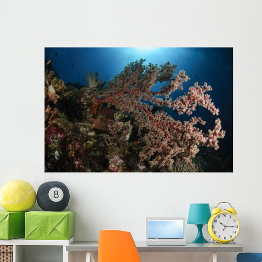 Soft Coral Reef Seascape Wall Decal Design 1