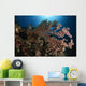 Soft Coral Reef Seascape Wall Decal Design 1