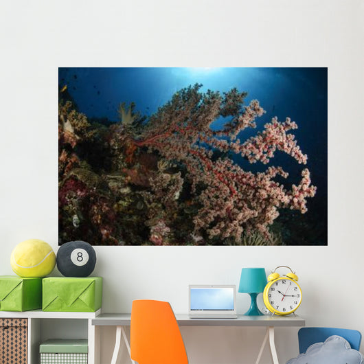 Soft Coral Reef Seascape Wall Decal Design 1