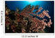 Soft Coral Reef Seascape Wall Decal Design 1