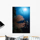 Diver Sea Fans Indonesia Wall Decal