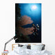 Diver Sea Fans Indonesia Wall Decal