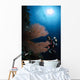 Diver Sea Fans Indonesia Wall Decal