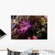 Nudibranch Fiji Wall Decal