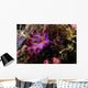 Nudibranch Fiji Wall Decal