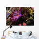 Nudibranch Fiji Wall Decal