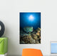 Bumphead Parrotfish Australia Wall Decal