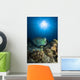 Bumphead Parrotfish Australia Wall Decal