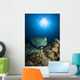 Bumphead Parrotfish Australia Wall Decal