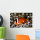 Black Anemonefish Fiji Wall Decal