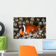 Black Anemonefish Fiji Wall Decal