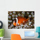 Black Anemonefish Fiji Wall Decal