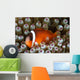 Black Anemonefish Fiji Wall Decal