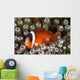 Black Anemonefish Fiji Wall Decal