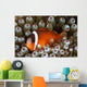 Black Anemonefish Fiji Wall Decal