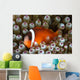 Black Anemonefish Fiji Wall Decal