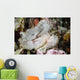 Leaf Scorpionfish Indonesia Wall Decal Design 2