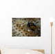 Tiny Nudibranch Sea Cucumber Wall Decal