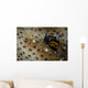 Tiny Nudibranch Sea Cucumber Wall Decal