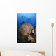 Diver Swims over Sea Wall Decal
