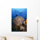 Diver Swims over Sea Wall Decal