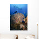 Diver Swims over Sea Wall Decal