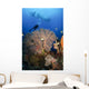 Diver Swims over Sea Wall Decal