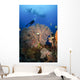 Diver Swims over Sea Wall Decal