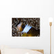 Anemonefish Anemone Australia Wall Decal